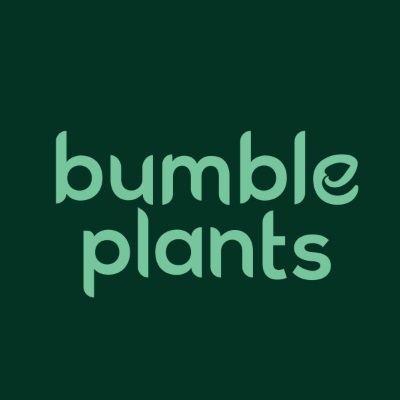 Red Prayer Plant for Sale - Maranta Houseplant | Bumble Plants