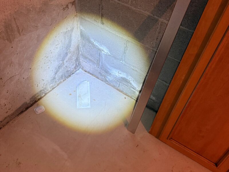 Soflo Mold Specialist