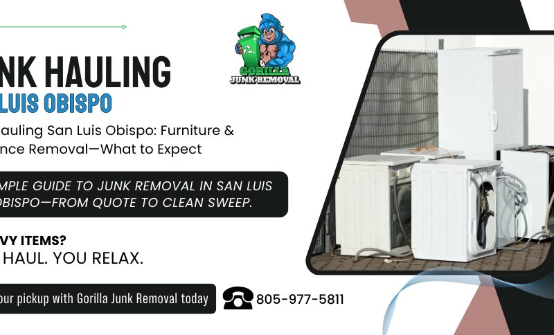 Gorilla Junk Removal