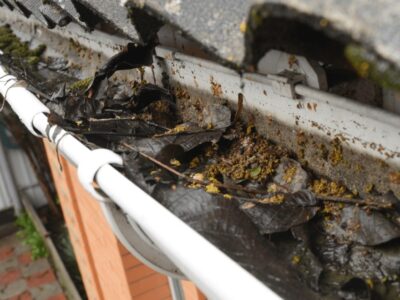 Water Dripping From Gutters Miami