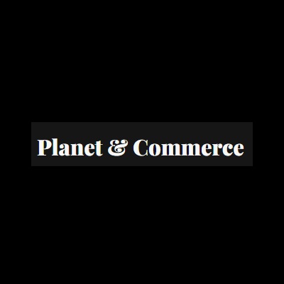 Rupaliyan Techventures and consultancy limited