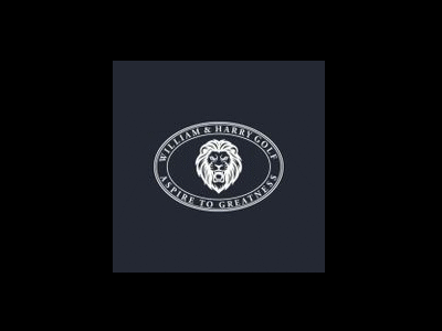 Stars and Stripes Golf Shoes to Swing with Pride and Comfort