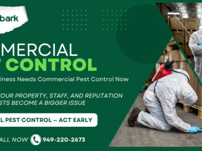 Treebark Termite and Pest Control