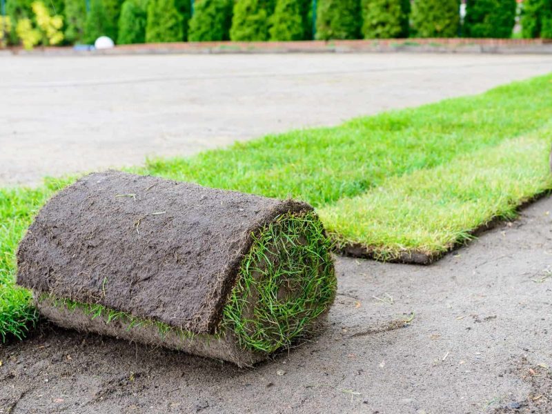 Artificial Turf Installation in Cedar Hill